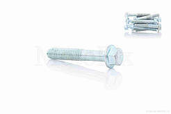 Болт із фланцем M6 L35 (10шт, хром), RY-004384