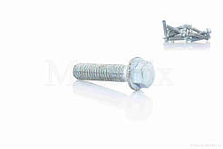 Болт із фланцем M6 L25 (10шт, хром), RY-024696