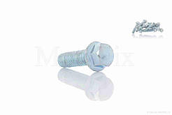 Болт із фланцем M6 L18 (10шт, хром), RY-019360