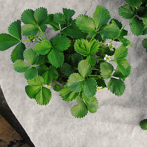 Агроволокно 50 г/м2 1.6х5 м. чорно-біле "Shadow" (Чехія) пакетоване, фото 2