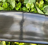 Шланг для поливу туман golden drip 32/20/5 200 м  (SHiz16894), фото 3