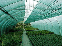 Сітка затіняюча для паркану альтанки городу 80% Agrimpex 6 х 50 м темно-зелена N, фото 6