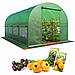 Теплиця парник Focus Garden 2.5x4x2 м зелена плівкова з вікнами та фартухом 140 г/м² садова конструкція, фото 3