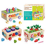 Дерев'яна каталка-сортер 3в1 WToys 22995, фото 2