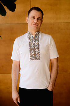 Чоловіча вишиванка Терен коричнева