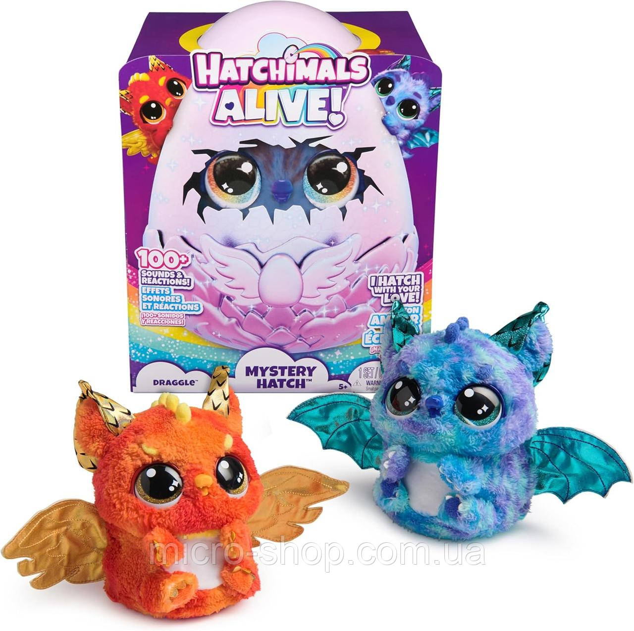 Інтерактивна іграшка Хетчімалс Драко у яйці Hatchimals Alive Mystery Hatch Draggle