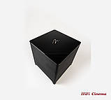 Martin Logan Dynamo Foundation 10 Sub активний сабвуфер 10 дюймів 200 Вт, фото 7