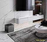 Martin Logan Dynamo Foundation 10 Sub активний сабвуфер 10 дюймів 200 Вт, фото 10