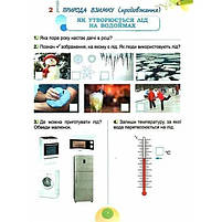 2 клас (НУШ). Я досліджую світ, Робочий зошит, Частина 2. 2024 Гільберг Т., Тарнавська С., Павич Н.), Генеза, фото 7