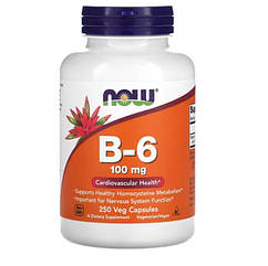 B-6 100mg | 250 vcaps |