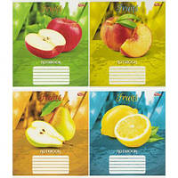 От 16 шт. Зошит кольоровий 24 листи, клітина 3779N купить оптом