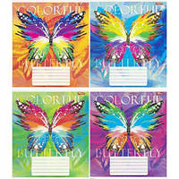 От 16 шт. Зошит кольоровий 24 листи, клітина 3780D купить оптом