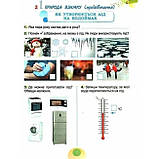 2 клас (НУШ). Я досліджую світ, Робочий зошит, Частина 2. 2024 Гільберг Т., Тарнавська С., Павич Н.), Генеза, фото 7