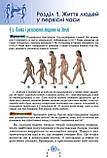 6 клас. НУШ. Всесвітня історія. Історія України, Підручник (Бандровський О.Г. Власов В.С. Данилевська О.М.), фото 2