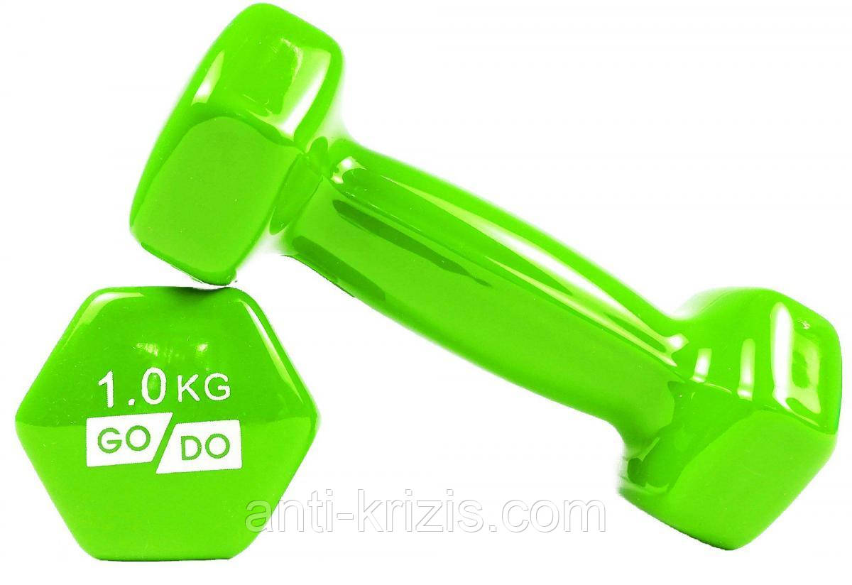 Гантель для фітнесу з вініловим покриттям 2 шт. GoDo GD-1.0GR