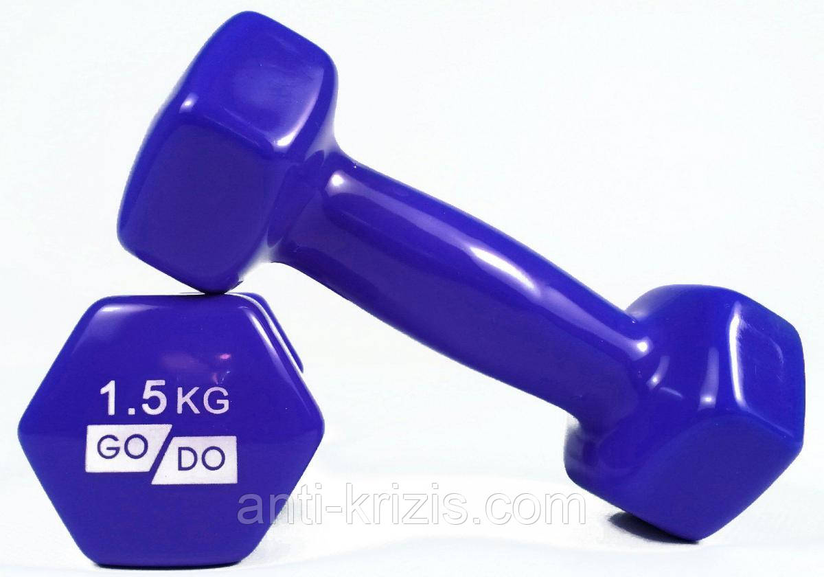 Гантель для фітнесу з вініловим покриттям 2 шт. GoDo GD-1.5BL