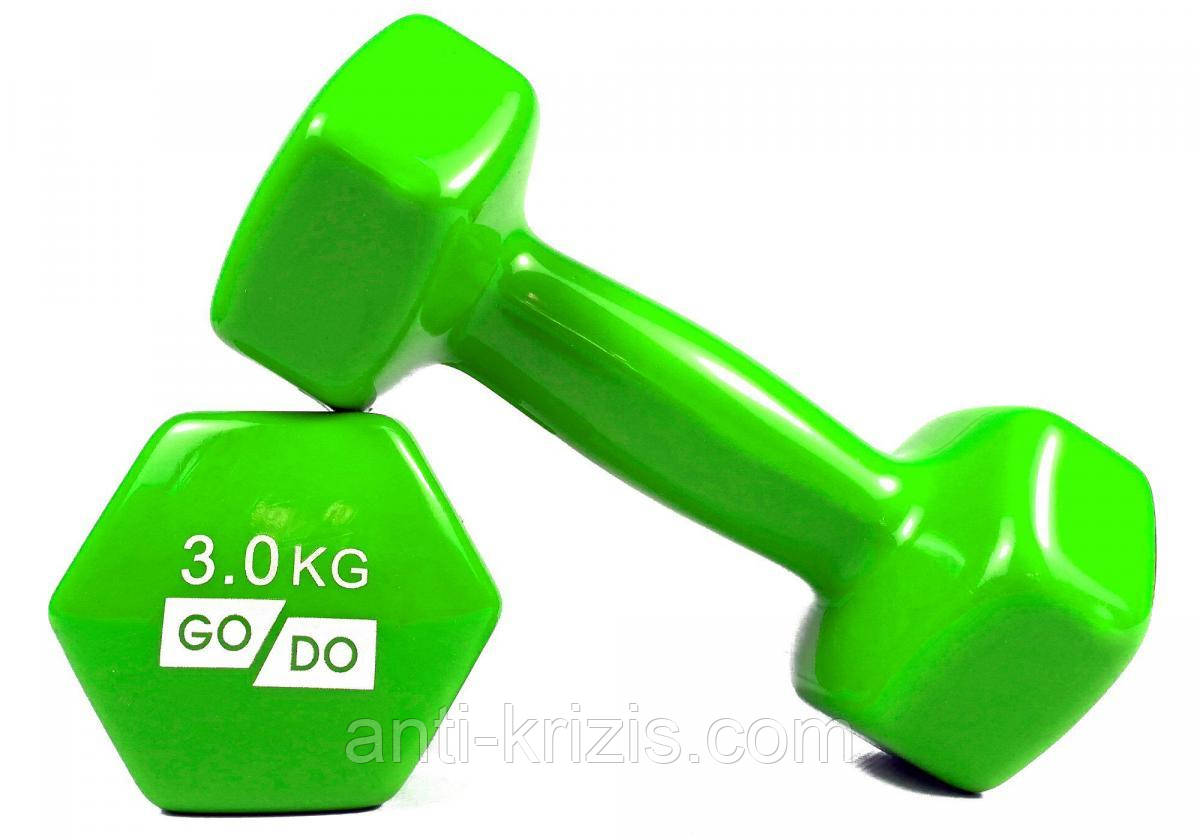 Гантель для фітнесу з вініловим покриттям 2 шт. GoDo GD-3.0GR