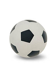 Футбольні м'ячі