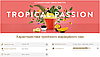 Чай в капсулах для кавоварок Dolce Gusto "Tropical Passion" 10 капсул (потрібен адаптер), фото 4
