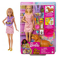 Ігровий набір "Маленьке тріо" Barbie