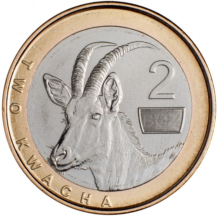Замбія 2 квачі, 2024 Біметал, 7.5g, ø 24.5mm  №3507