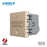 Розумний механізм сенсорний прохідний/перехресний димер Livolo білий ZigBee (VL-FC1SDZ-2WP) Wenzhou Livolo Electric Co., Ltd., VL-FC1SDZ2-2AP, Золотий