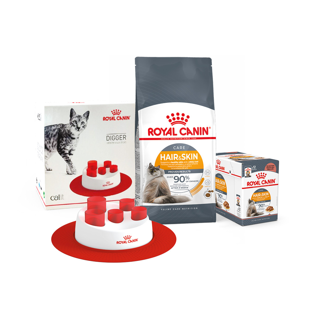 Корм для котів ROYAL CANIN HAIR&SKIN CARE 2кг +  Вологий корм HAIR&SKIN 12шт + інтерактивна годівниця