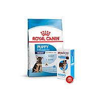 Корм для цуценят ROYAL CANIN MAXI PUPPY 15 кг + Bravecto у подарунок