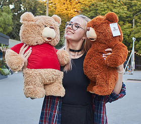 Ведмедики TED Третій зайвий