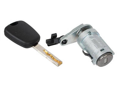 Личинки замка