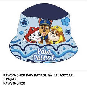 Панамки для хлопчиків оптом, Disney, 52-54 рр., арт. PAW36-0420
