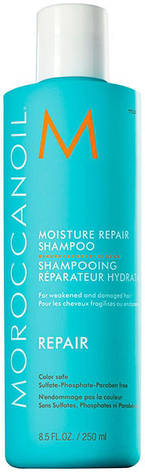Зволожувальний шампунь для волосся MoroccanOil, 250 мл (7290011521806), фото 1