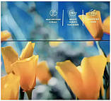 Пральна машина напівавтомат Artel TG 70 FP Nature 01 (7 кг, 2-бакова з центрифугою), фото 3