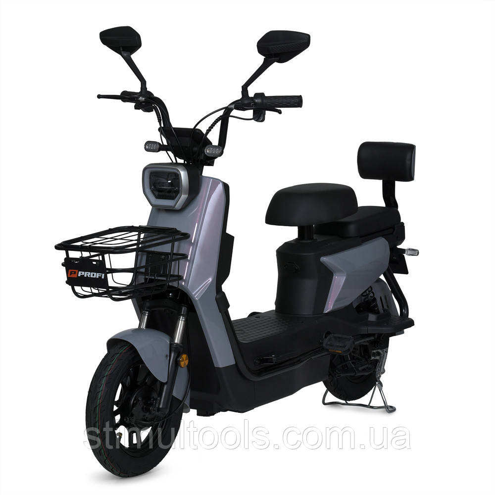 Електроскутер Prof1 MES 1025-6HML SUWA/BAT сірий хамелеон двигун 500 Вт, фото 1