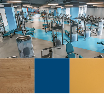 Лінолеум спортивний Tarkett Omnisports V35