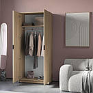 Шафа двостулкова з полицями та штангою розпашна з ламінованого ДСП Практичні шафи для передпокою, фото 3