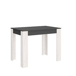 Обідній стіл для кухні, сучасний прямокутний стіл на кухню СТО-1 Еверест