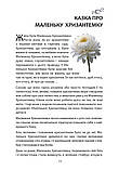 ШЛЯХ ДО СЕБЕ: ТЕРАПЕВТИЧНІ ІСТОРІЇ. Роксана Ящук, фото 10