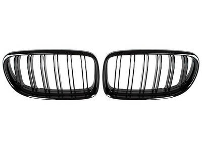 Решетки радиатора (ноздри)