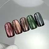 Гель-лак NailsOfTheDay korean cat eye номер 18, фото 3