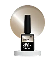 Гель лак NailsOfTheDay korean cat eye номер 09