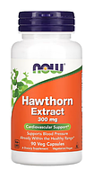 Now Hawthorn Extract 300 mg 90 Veg Caps