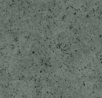 Лінолеум Forbo emerald Standart 122454_8342