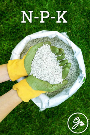 Добра для ростен