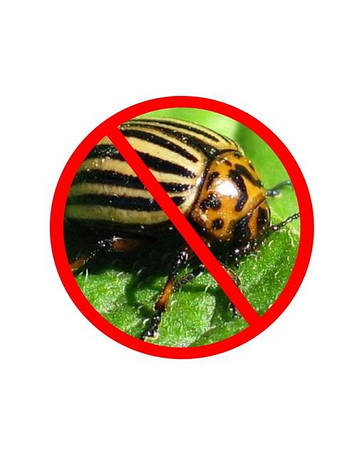 ІНСЕКТИЦИДИ