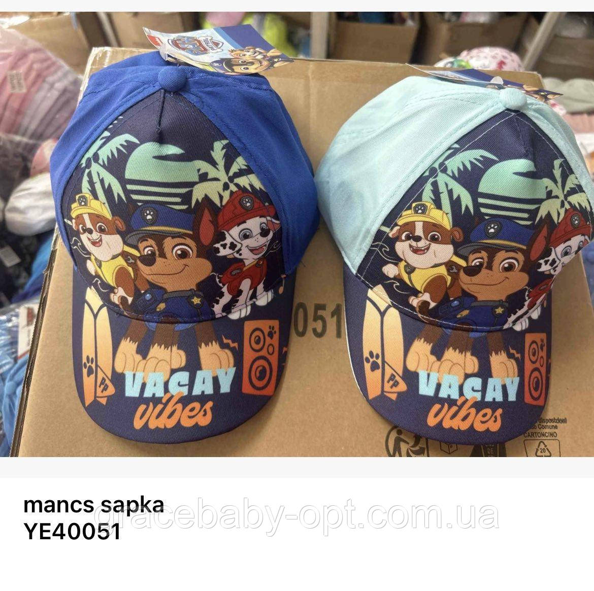 Кепки для хлопчика оптом, DISNEY, 52-54 рр., № YE40051, фото 1