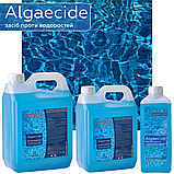 Засіб для знищення водоростей і цвітіння води в басейні Algaecide 1 л, фото 9