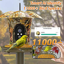 Уцінка Розумна годівниця для птахів Lollyes з камерою HD 1080P, Amazon, Німеччина, фото 6