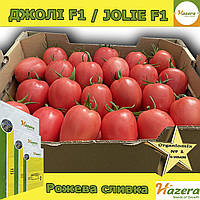 Томат ДЖОЛІ F1 / JOLIE F1, крупна рожева сливка, ТМ Hazera (Нідерланди), 1000 насінин