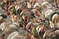 Тканина Duck digital "Декоративний сухоцвіт", фото 4